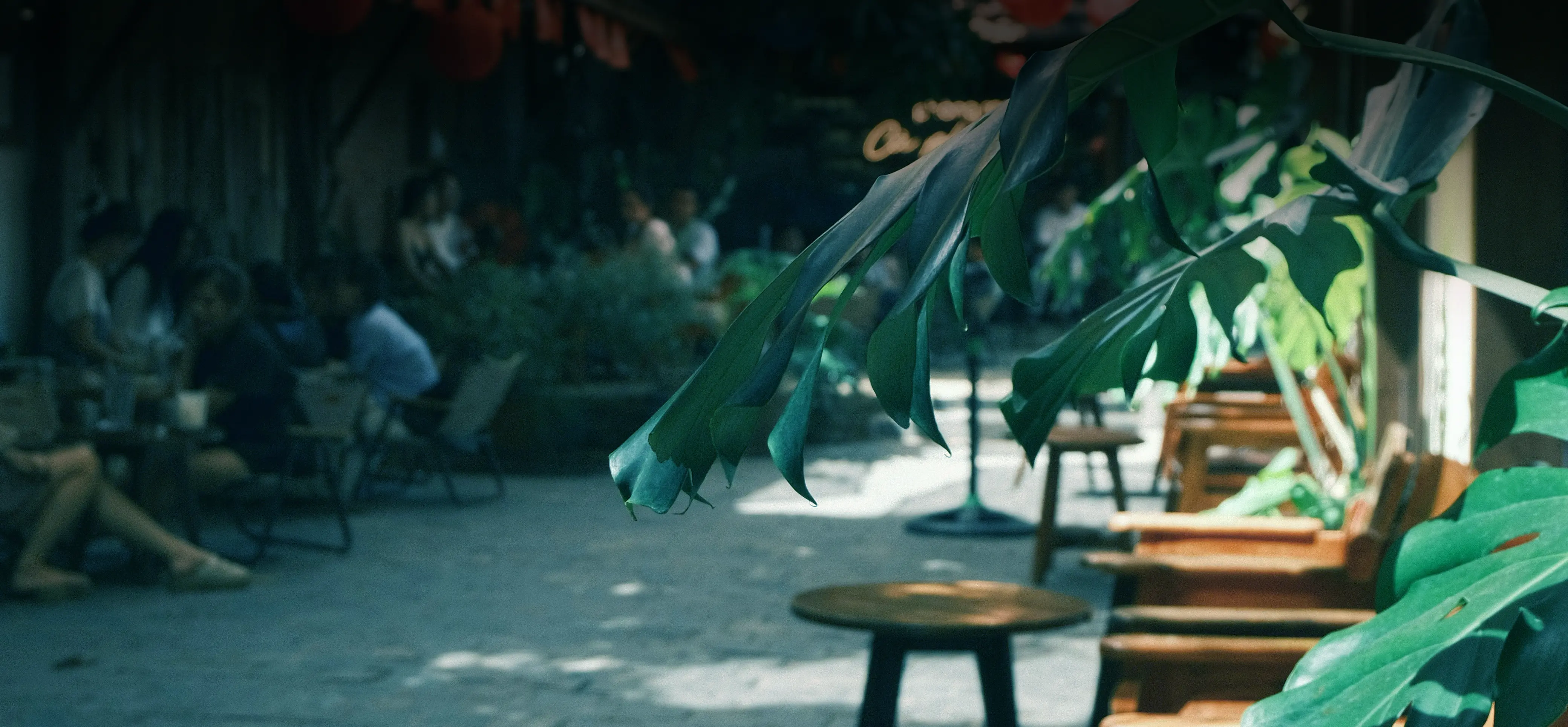 Monsoon Season restaurant interior with warm ambient lighting